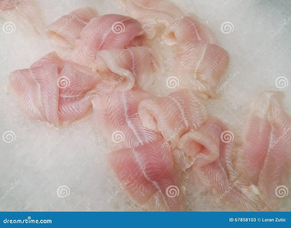 Sustainability & Sourcing of Dori Fish (Basa/Pangasius) Pioneers Circular Model